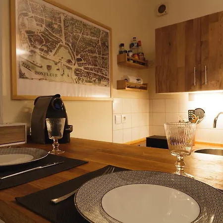 شقة Le Du Gouverneur *